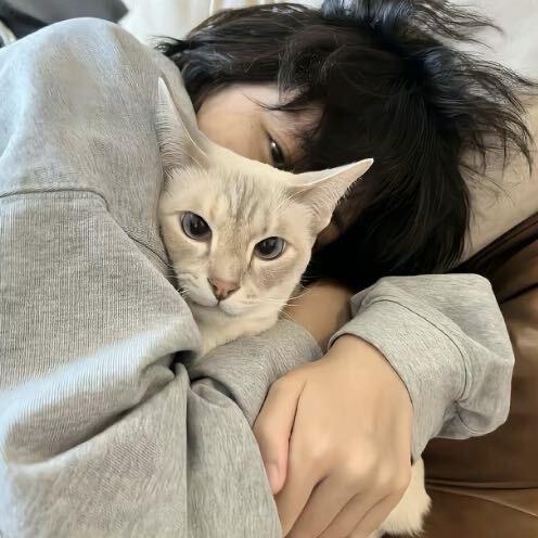 小杰baby