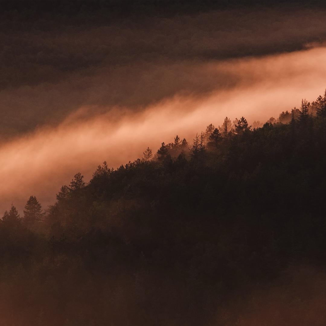 🔥࿐破塵逐夢࿐⚡