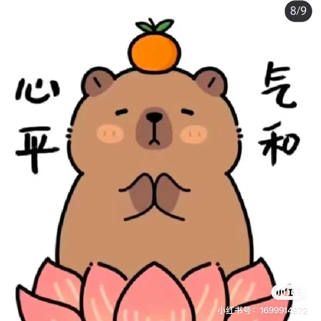 卡皮巴拉熊