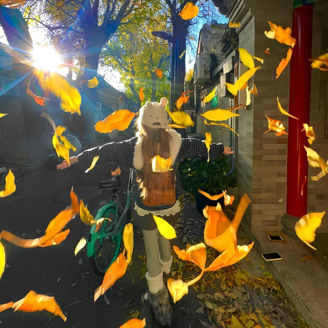 猫简直太可爱了