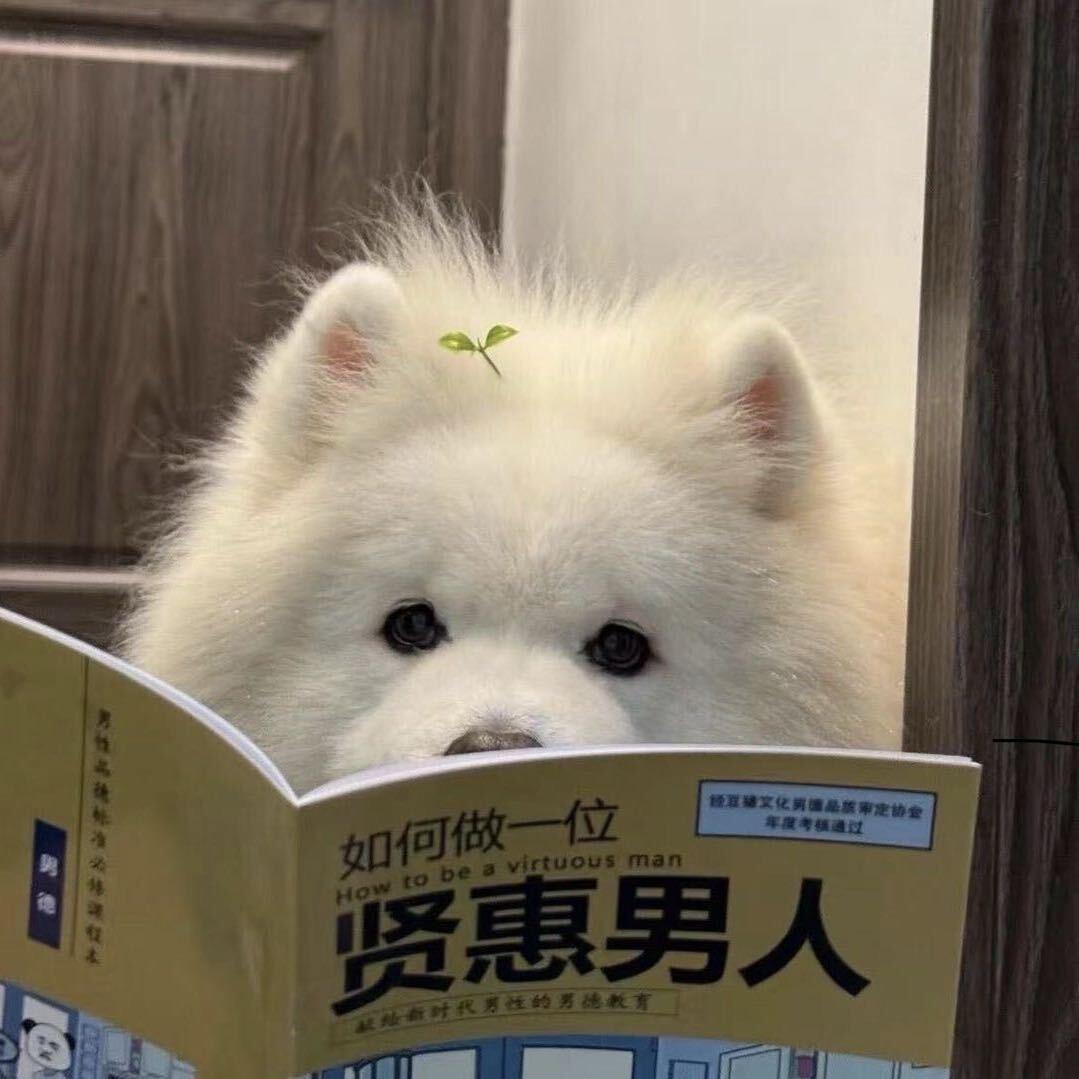 龙须糖儿