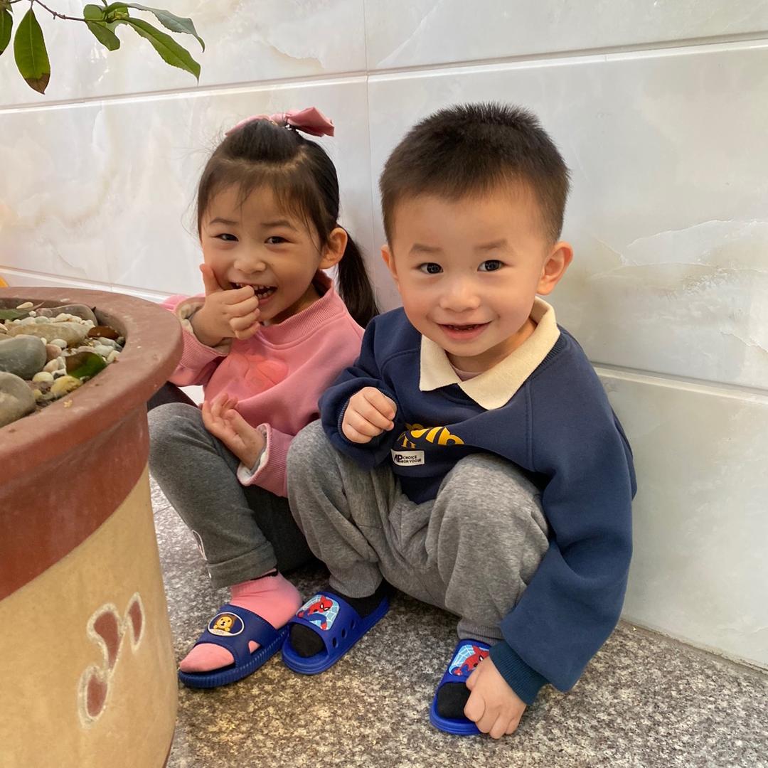 盆栽果树(小米范)