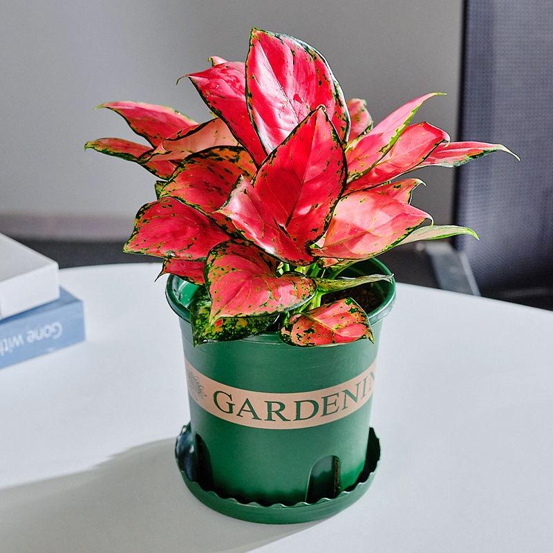 鑫程同富电子商务有限公司