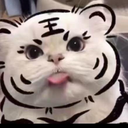 哥哥肖兔兔