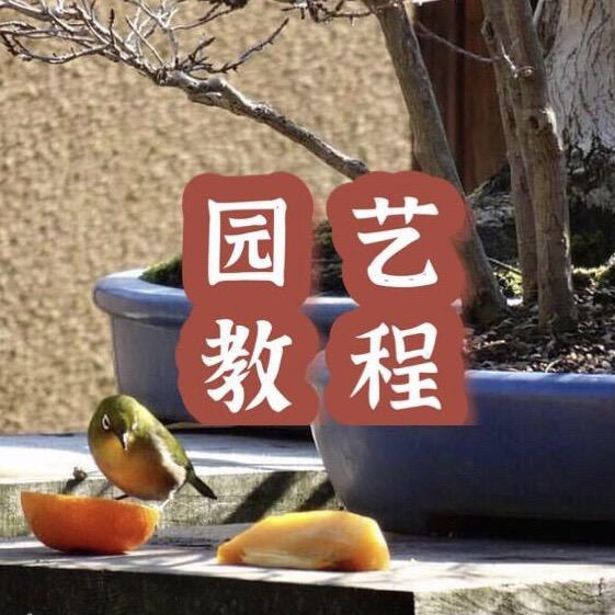 园艺教程大王