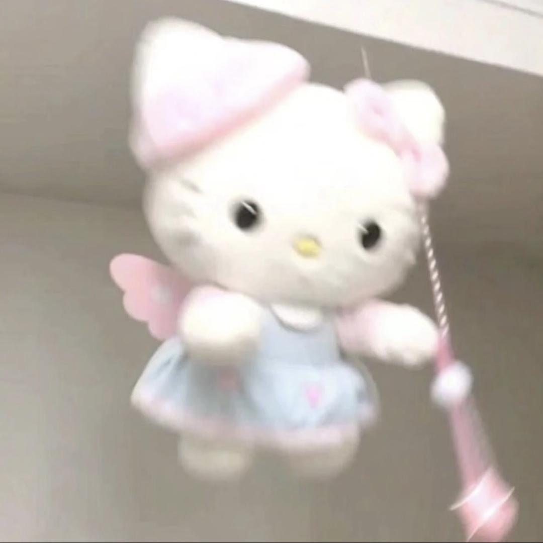 关于小猫的日记