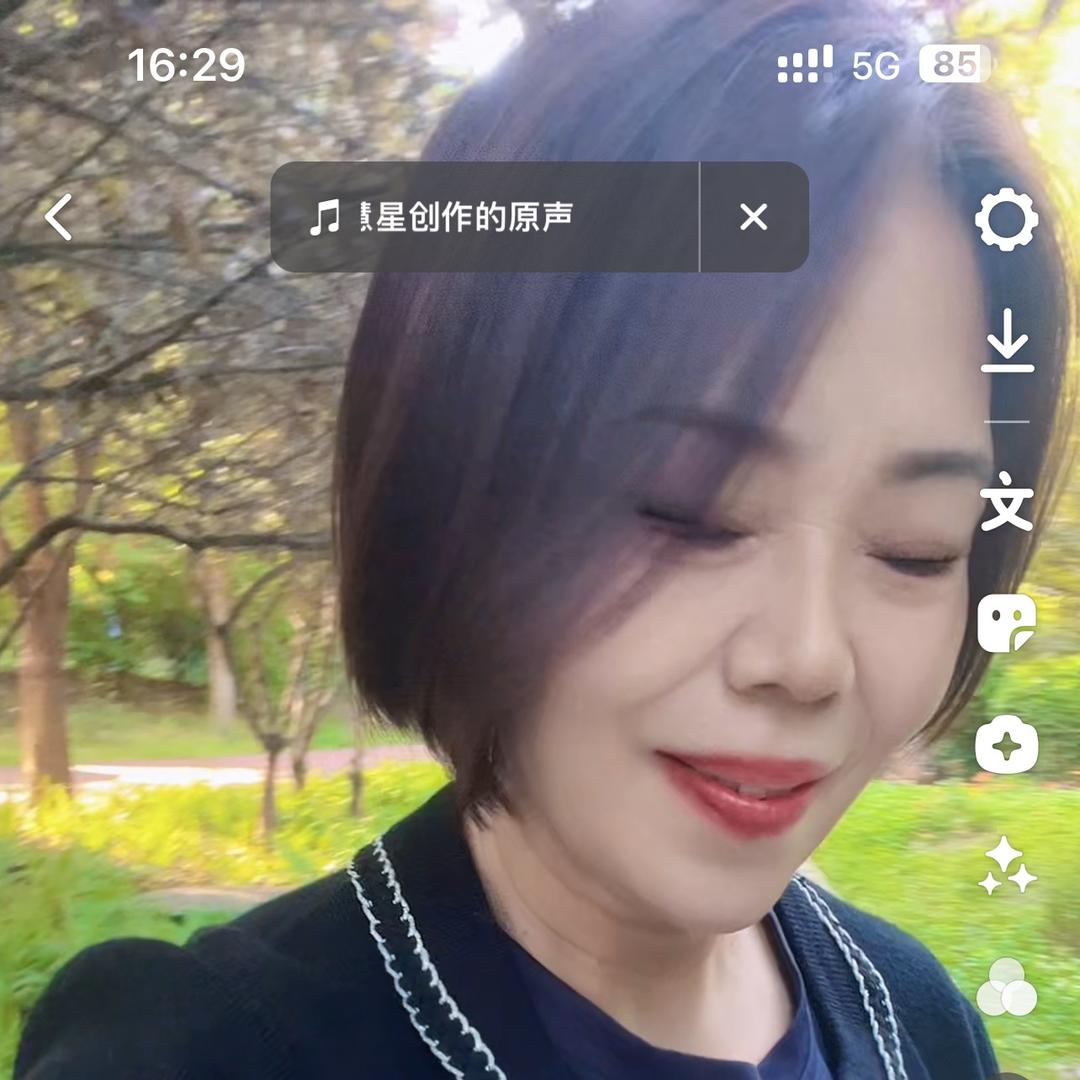 弦子