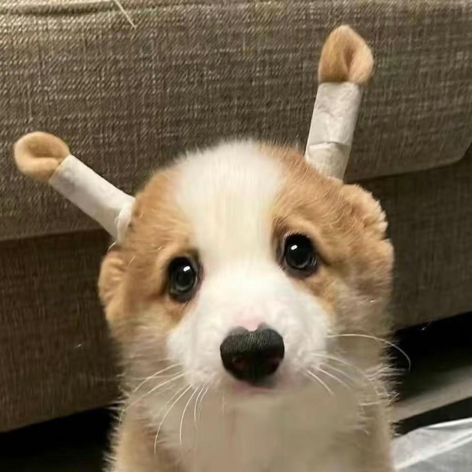 丸张