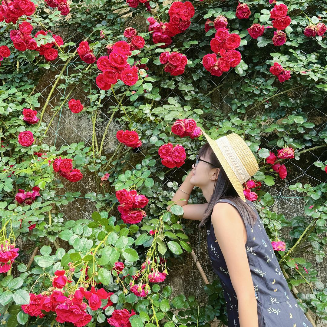 秋秋耶🐬(๑°3°๑)