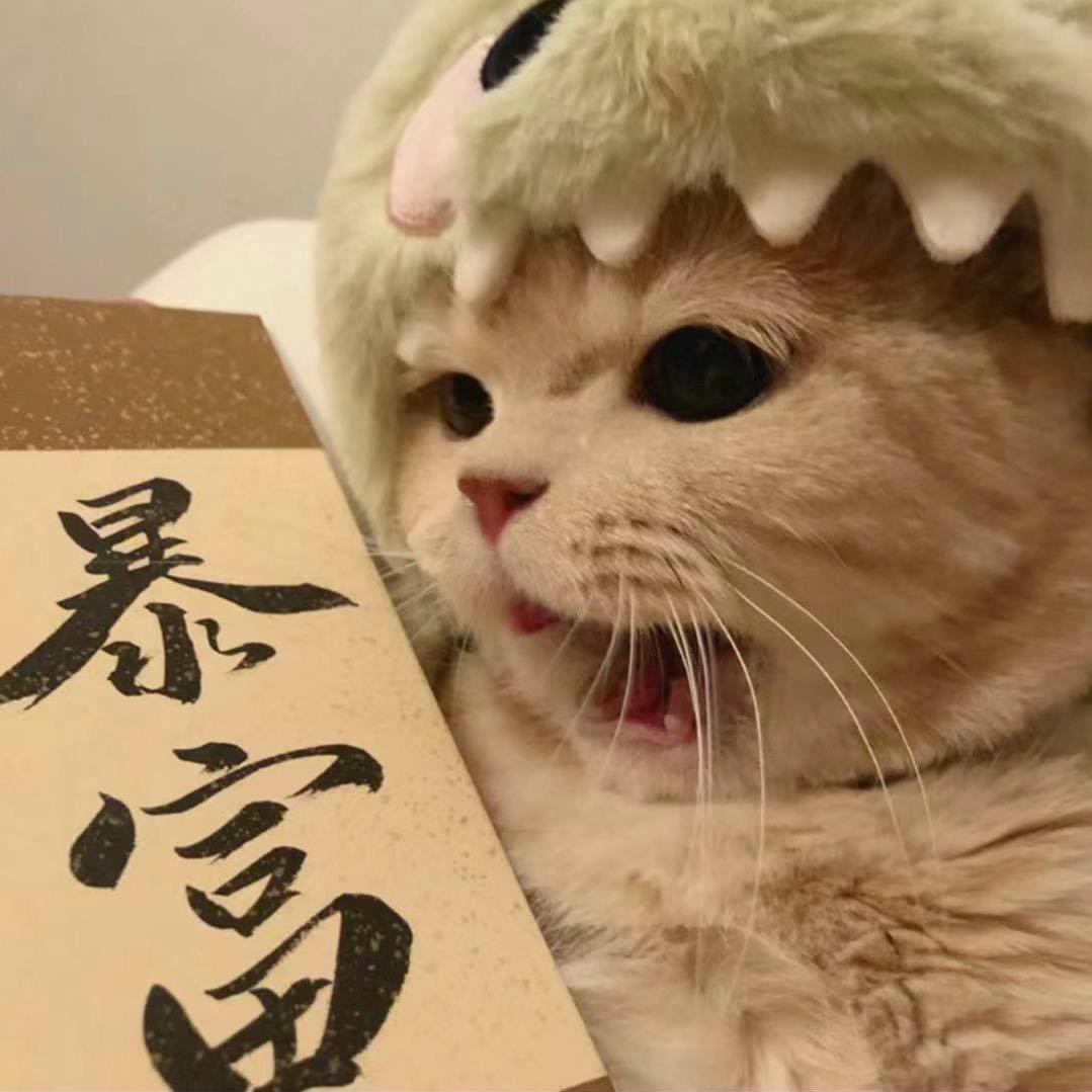 胡发发