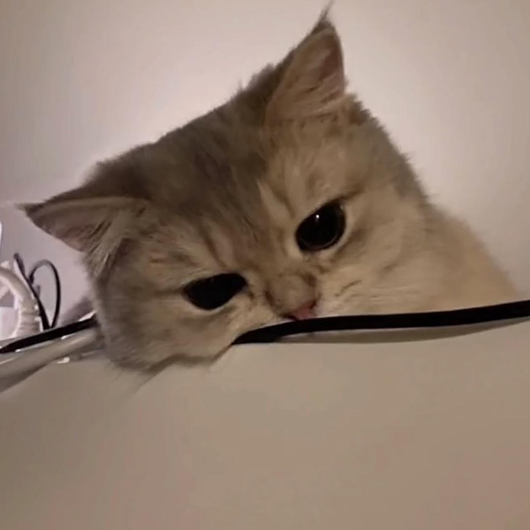 百货甄选
