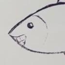 🔮妍素过载（猫猫版）