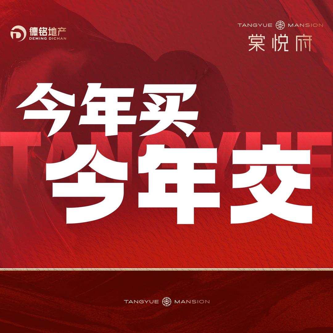 棠悦府（丁杰）咨询