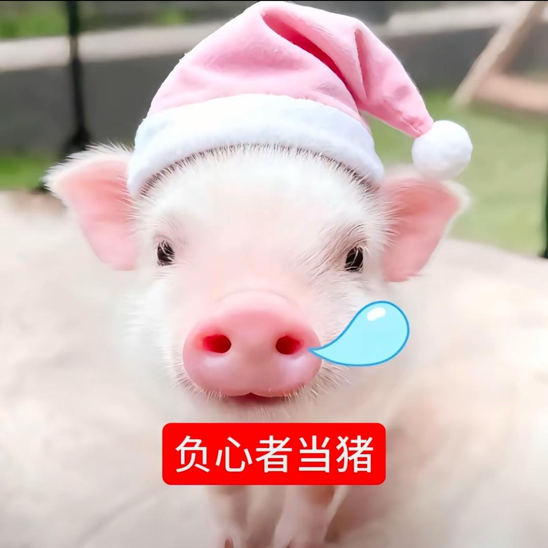 少说假话、