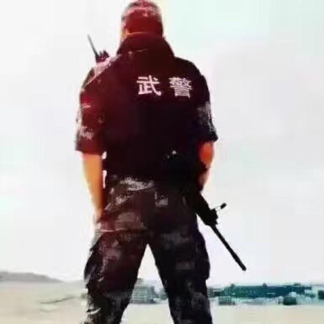 盛贰浪