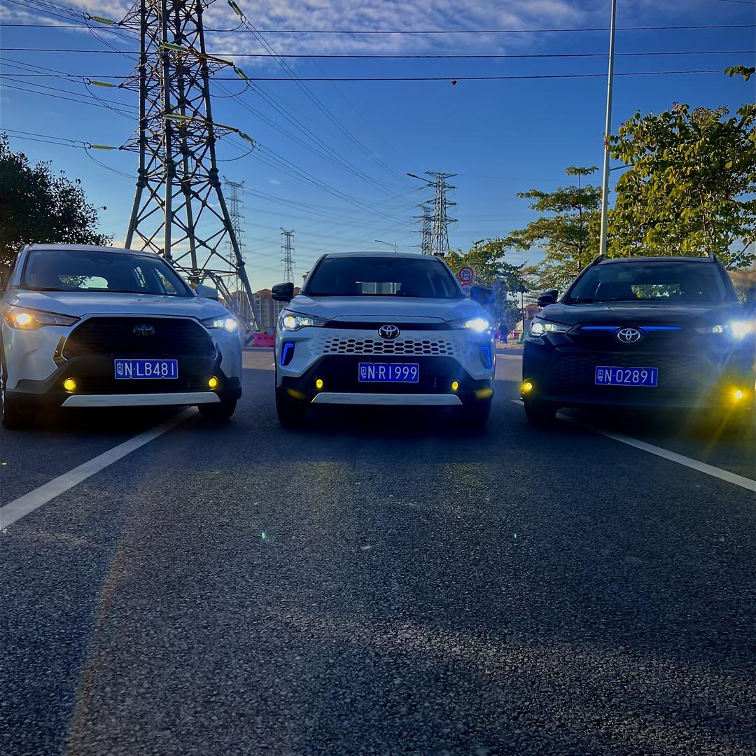 大彭玩锐放锋兰达