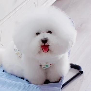 娜娜小熊