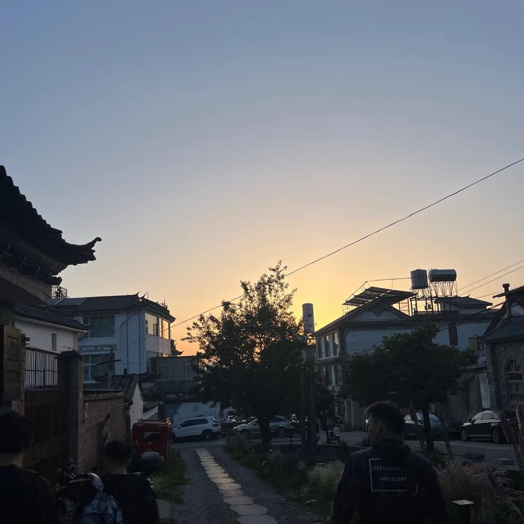 白玫瑰