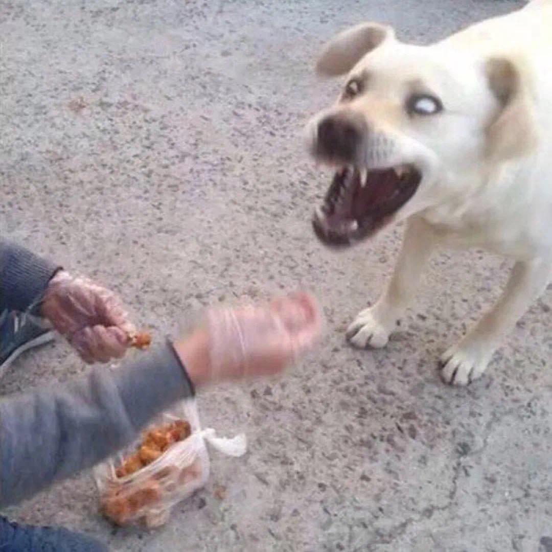 今天还是不够睡