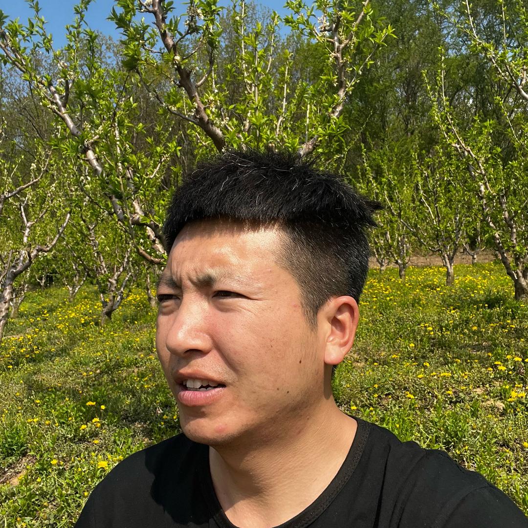 东子一家人的农村生活