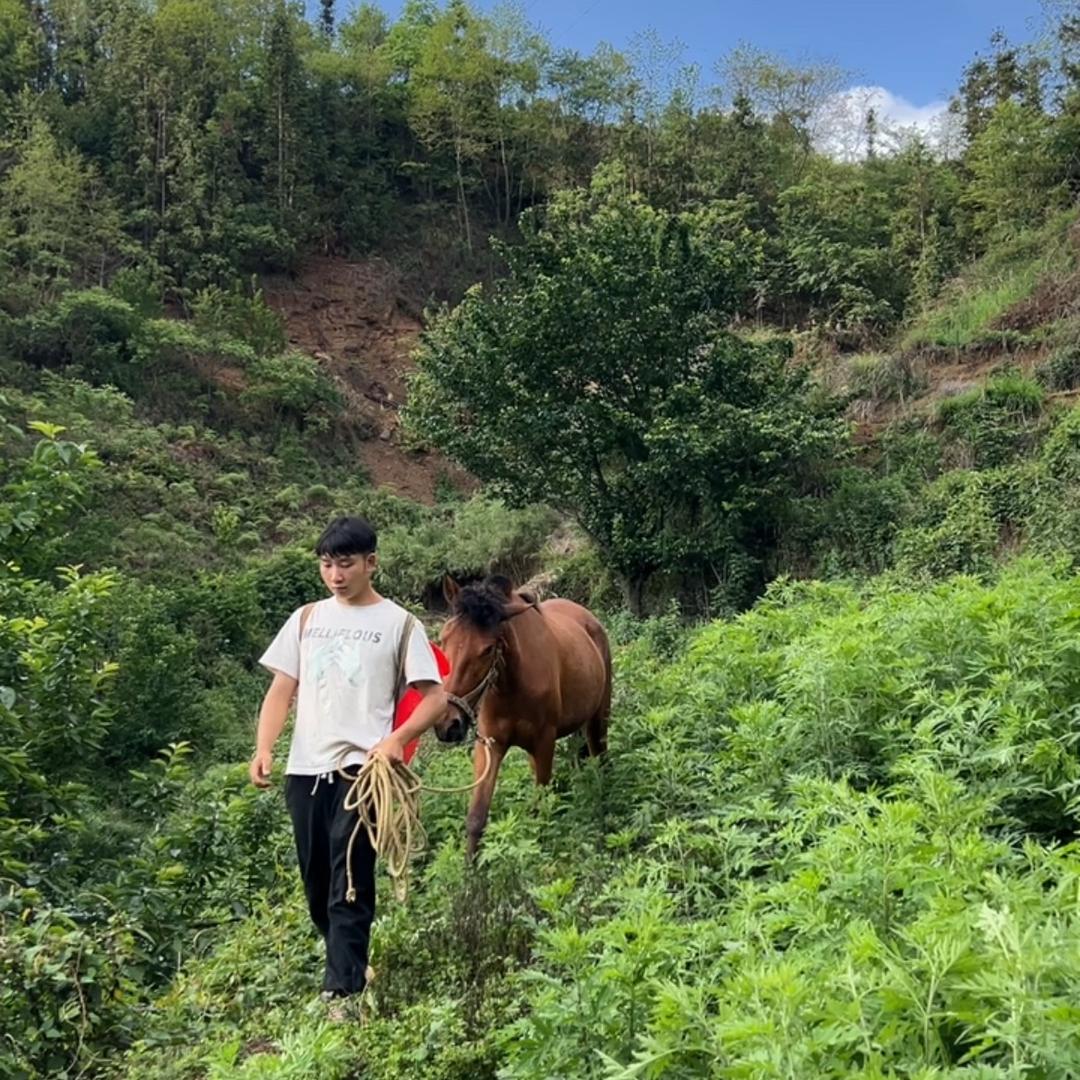 小柱（农产品）
