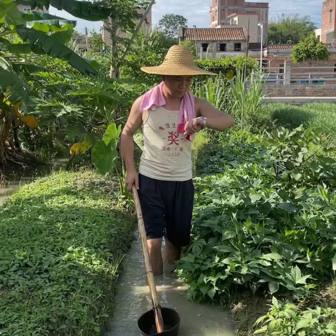 山脚猫食养日记