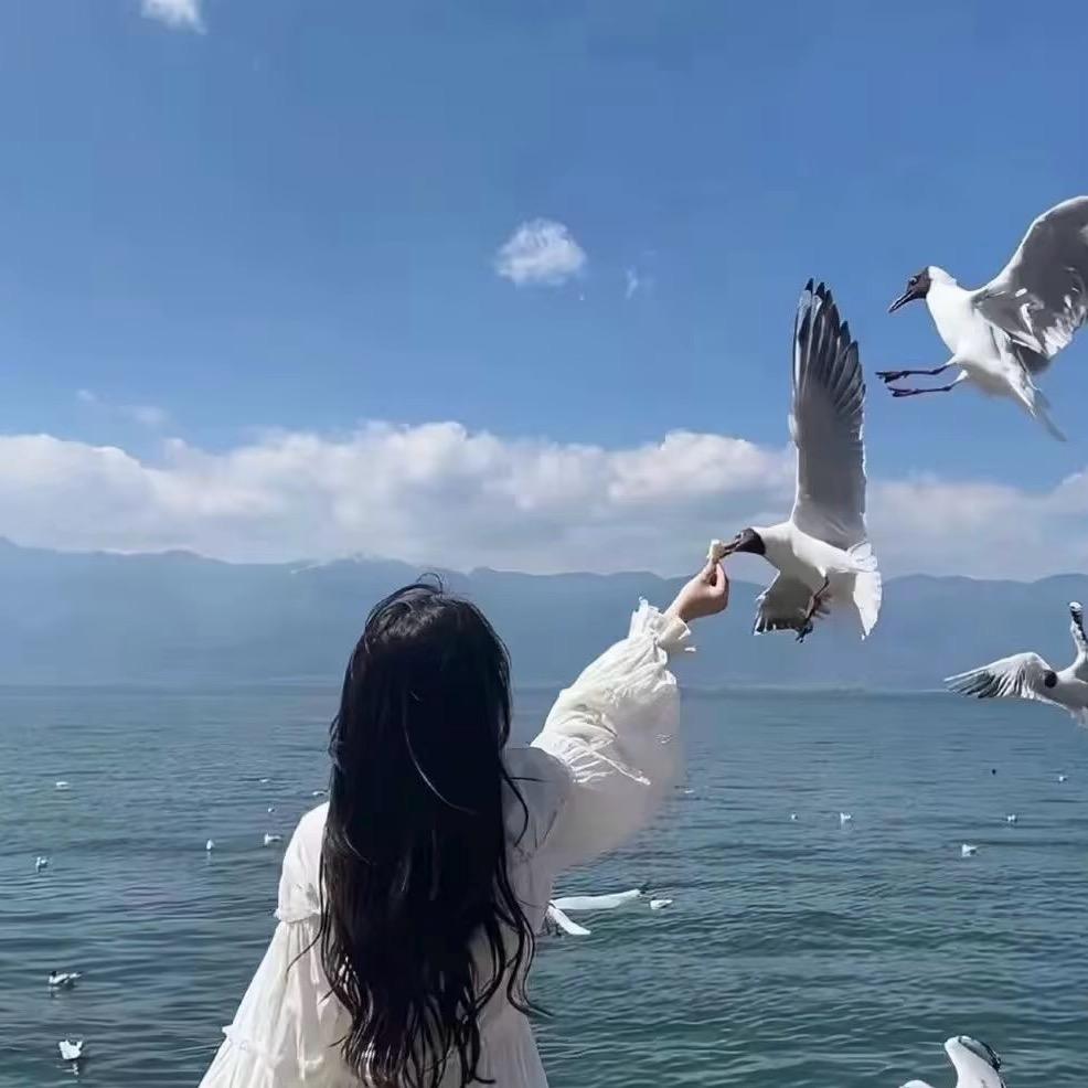 小甜梨
