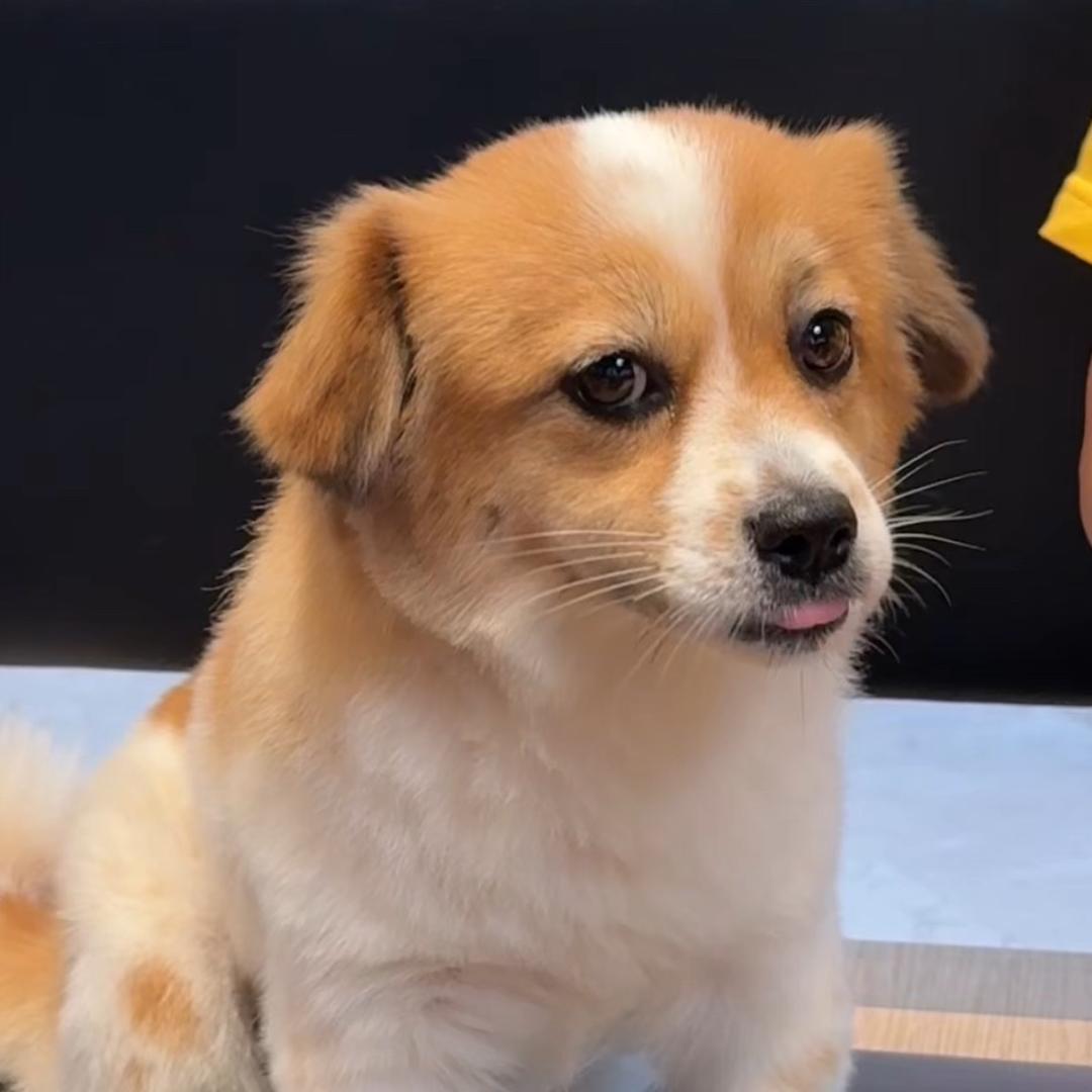 我叫小宝