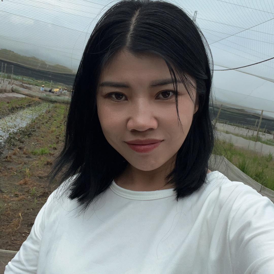 蛙田记