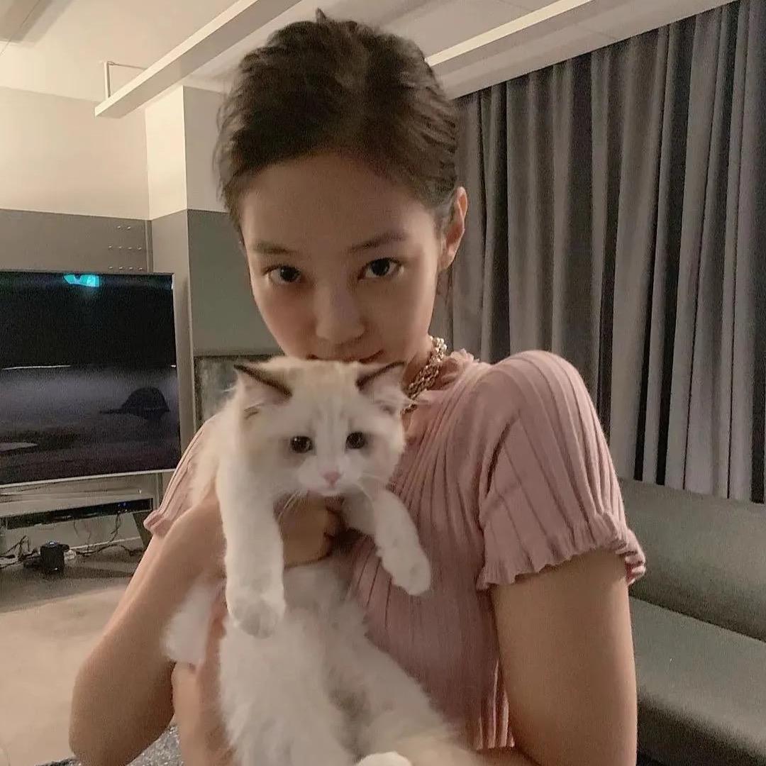 Kitty-橙🍊