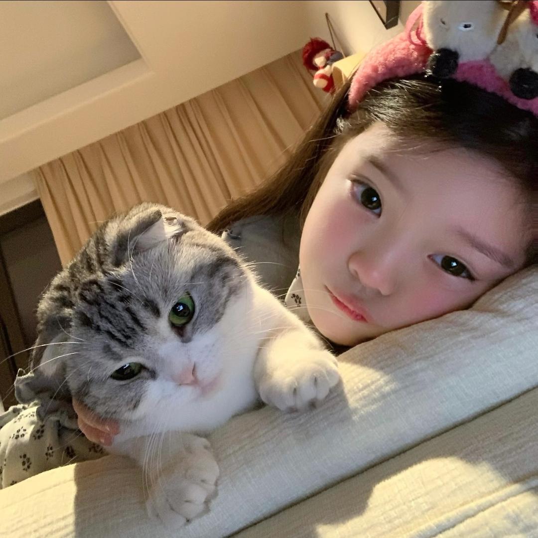 猪猪豫🐽