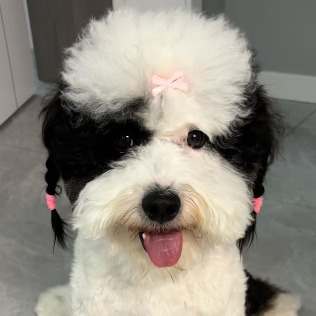 可爱鬼