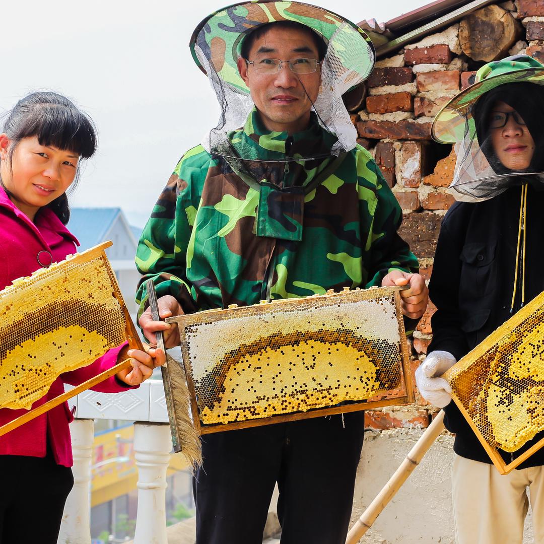 永忠家的土蜂蜜