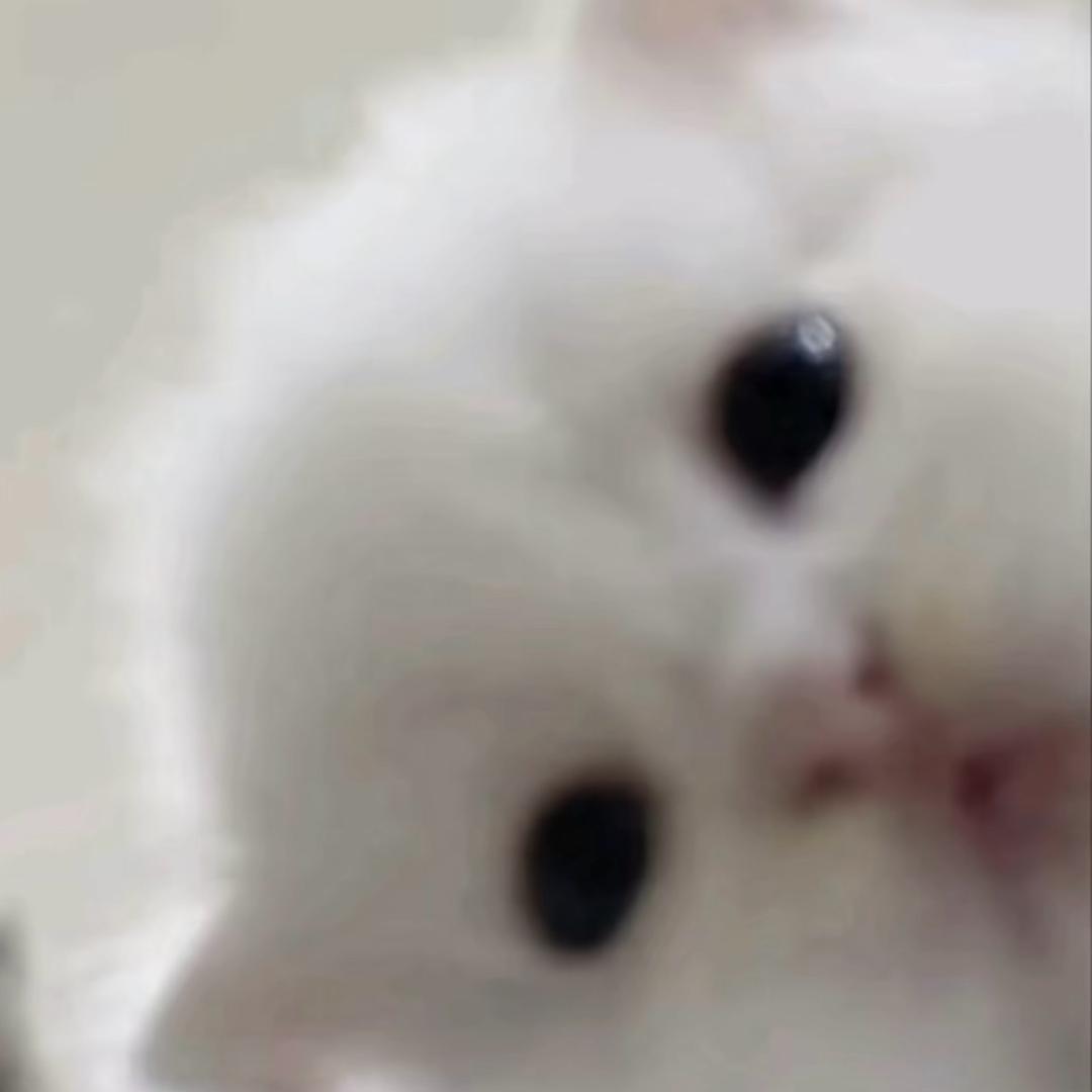我的女朋友很可爱
