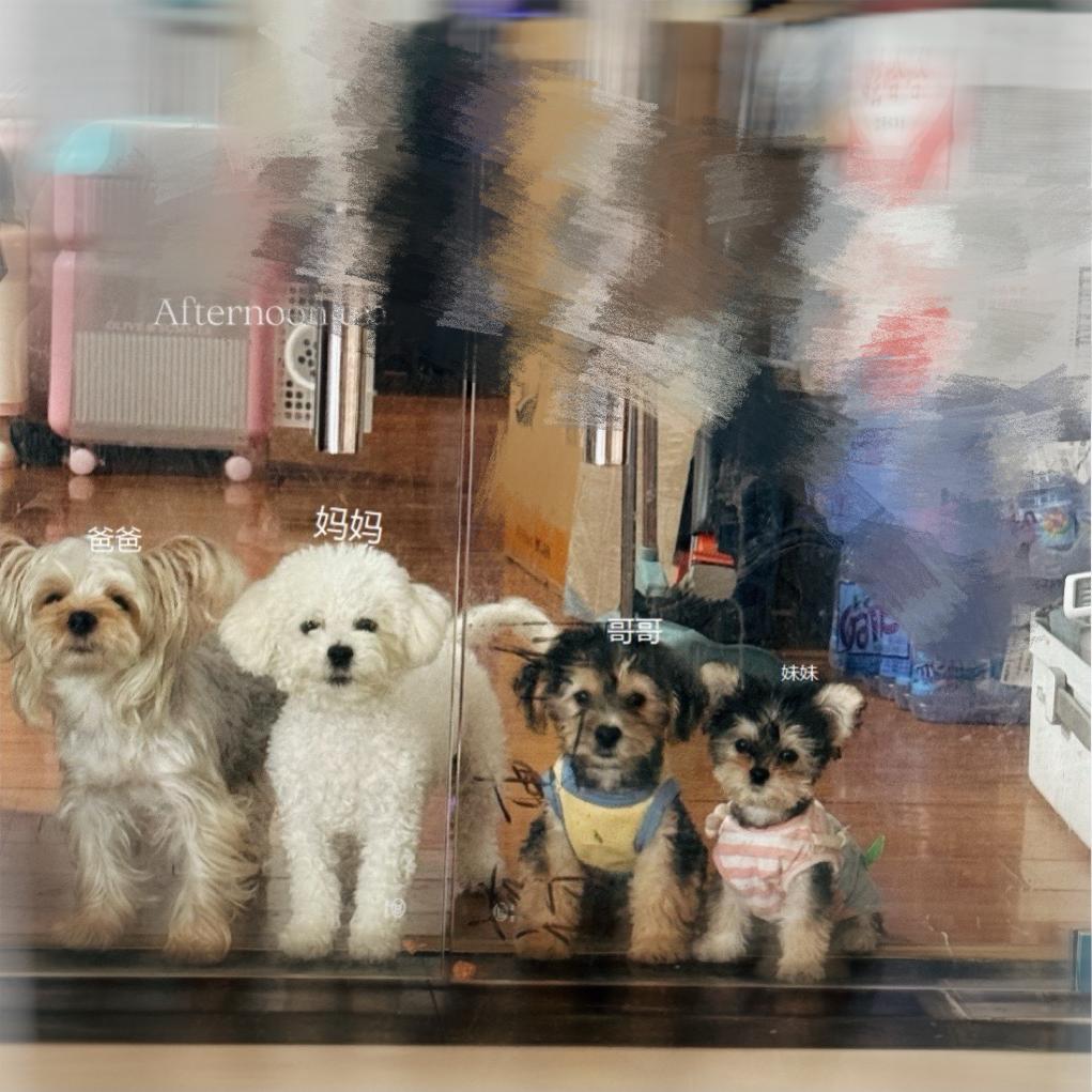 小小诗蕊精品优选