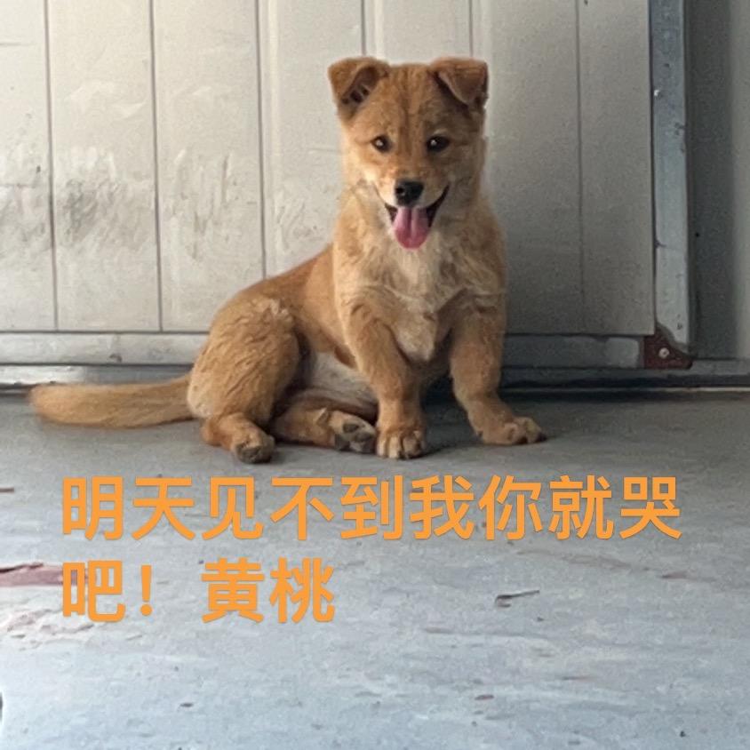 豆十年