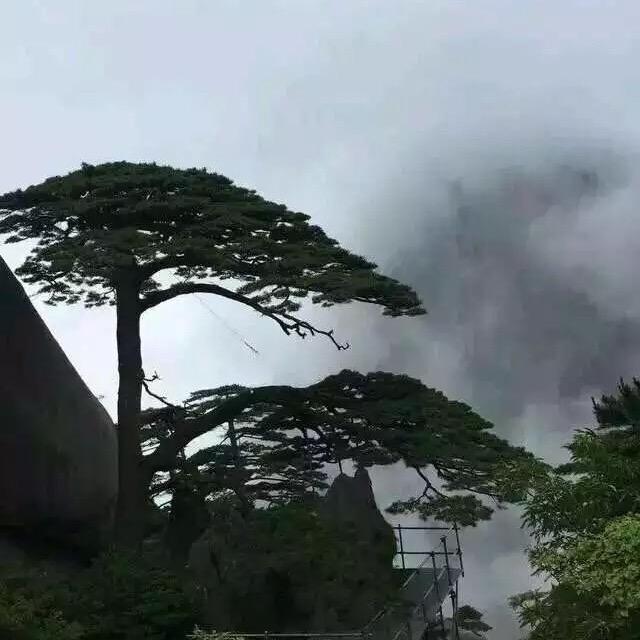 阿宝，