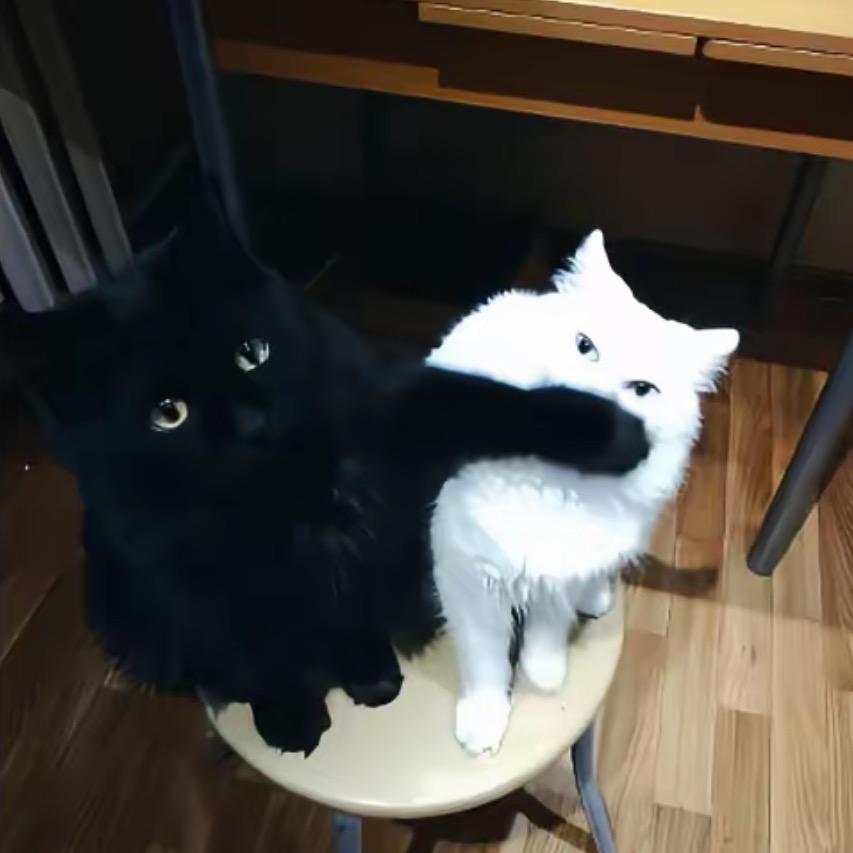难别