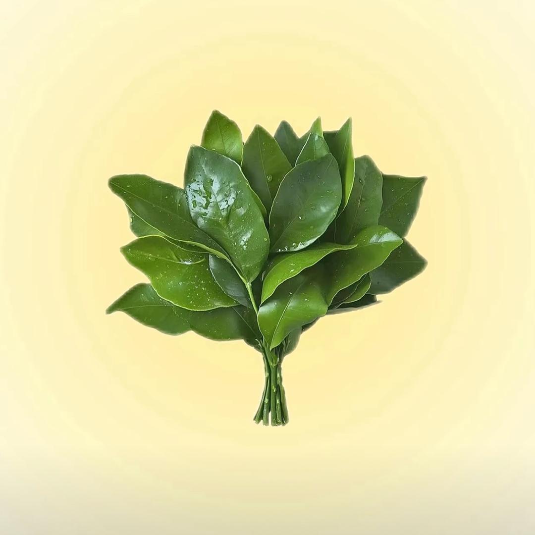 甜茶