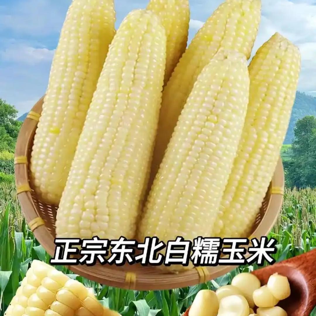 农家小店东北甜糯玉米专场