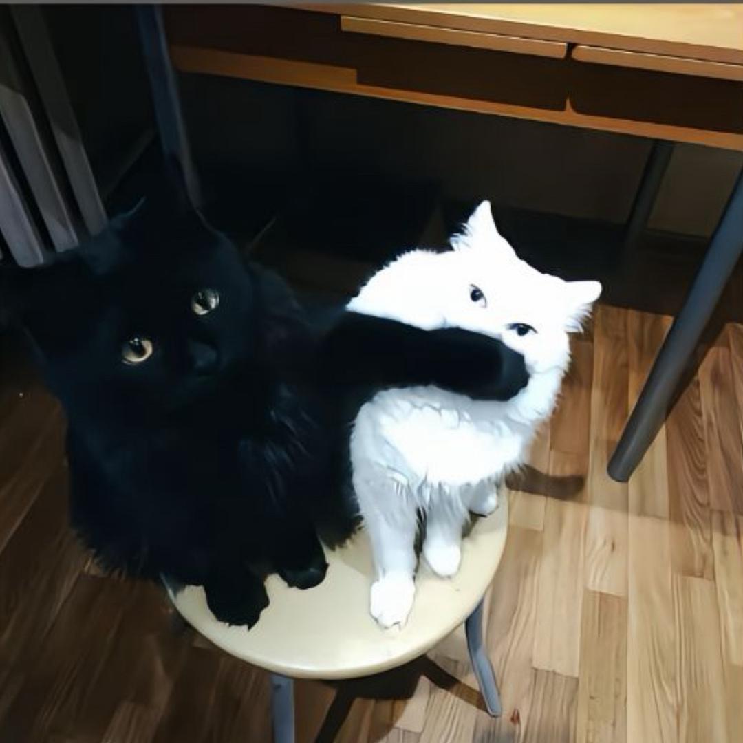 善良的农村人