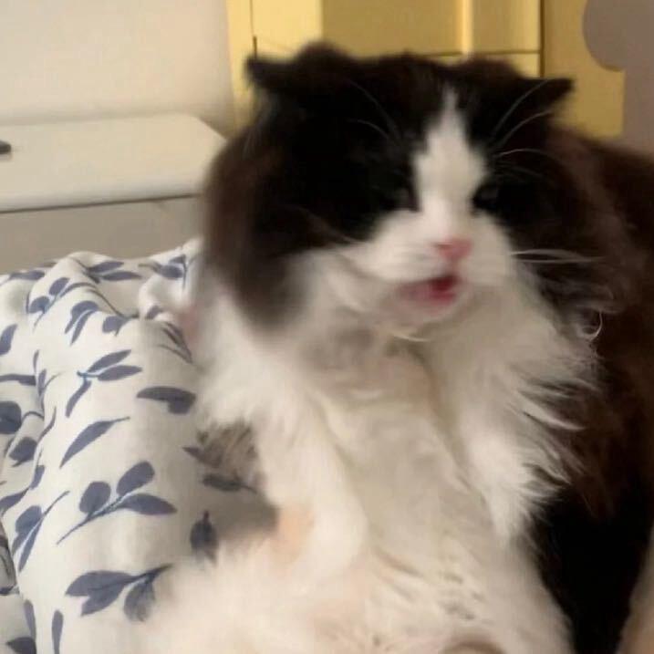 睡觉