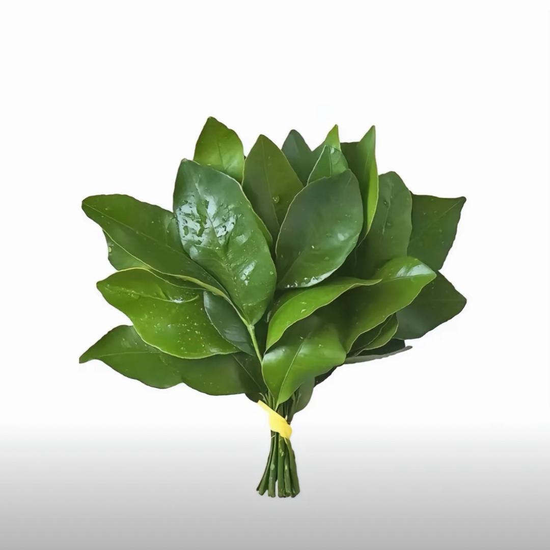 吃了睡了吃