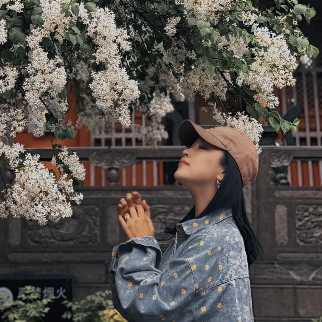 清清.佛系葵