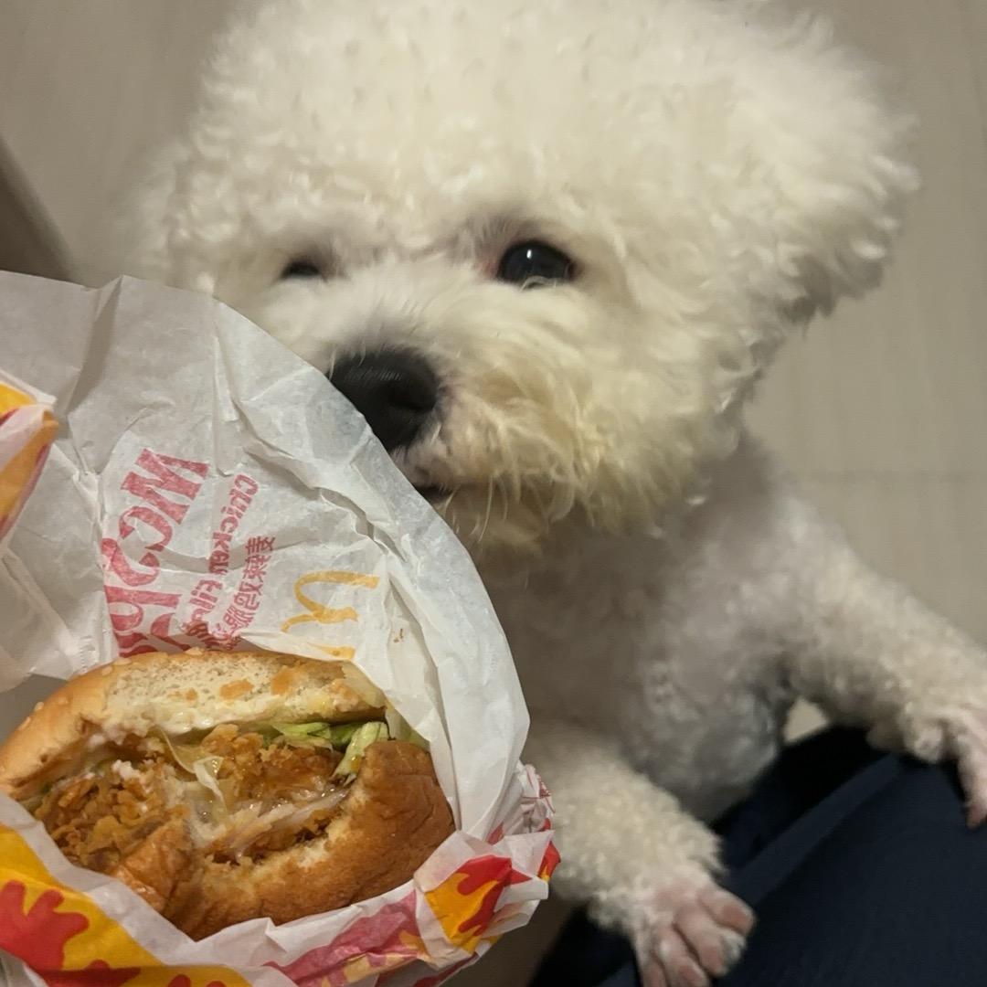 青提