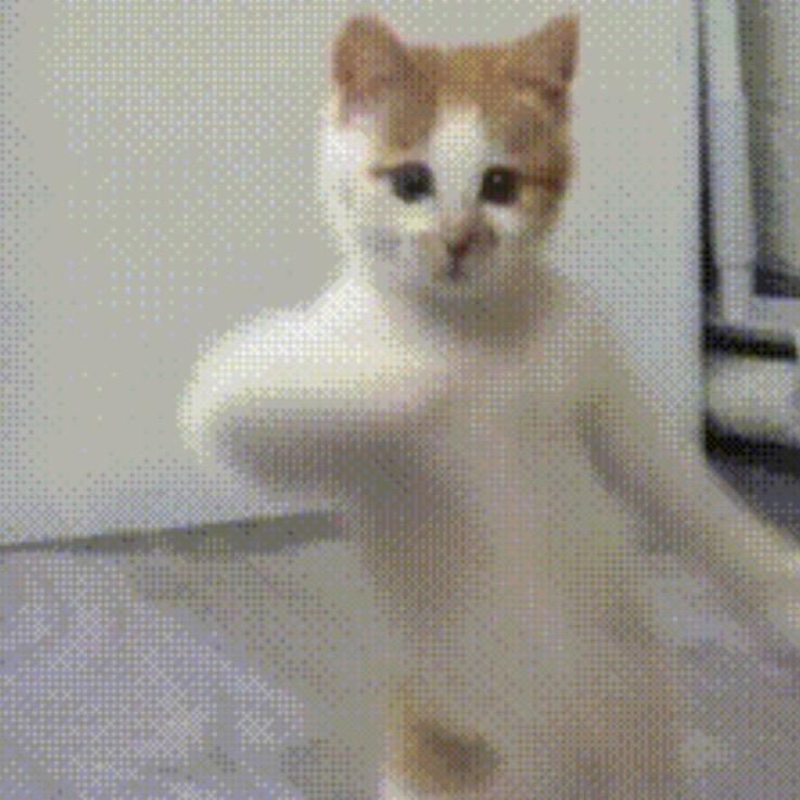 御林军-（🐶头🦅）