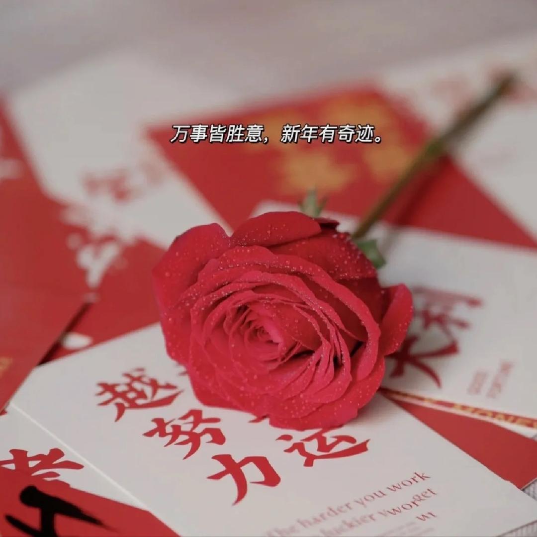 @丫头💃
