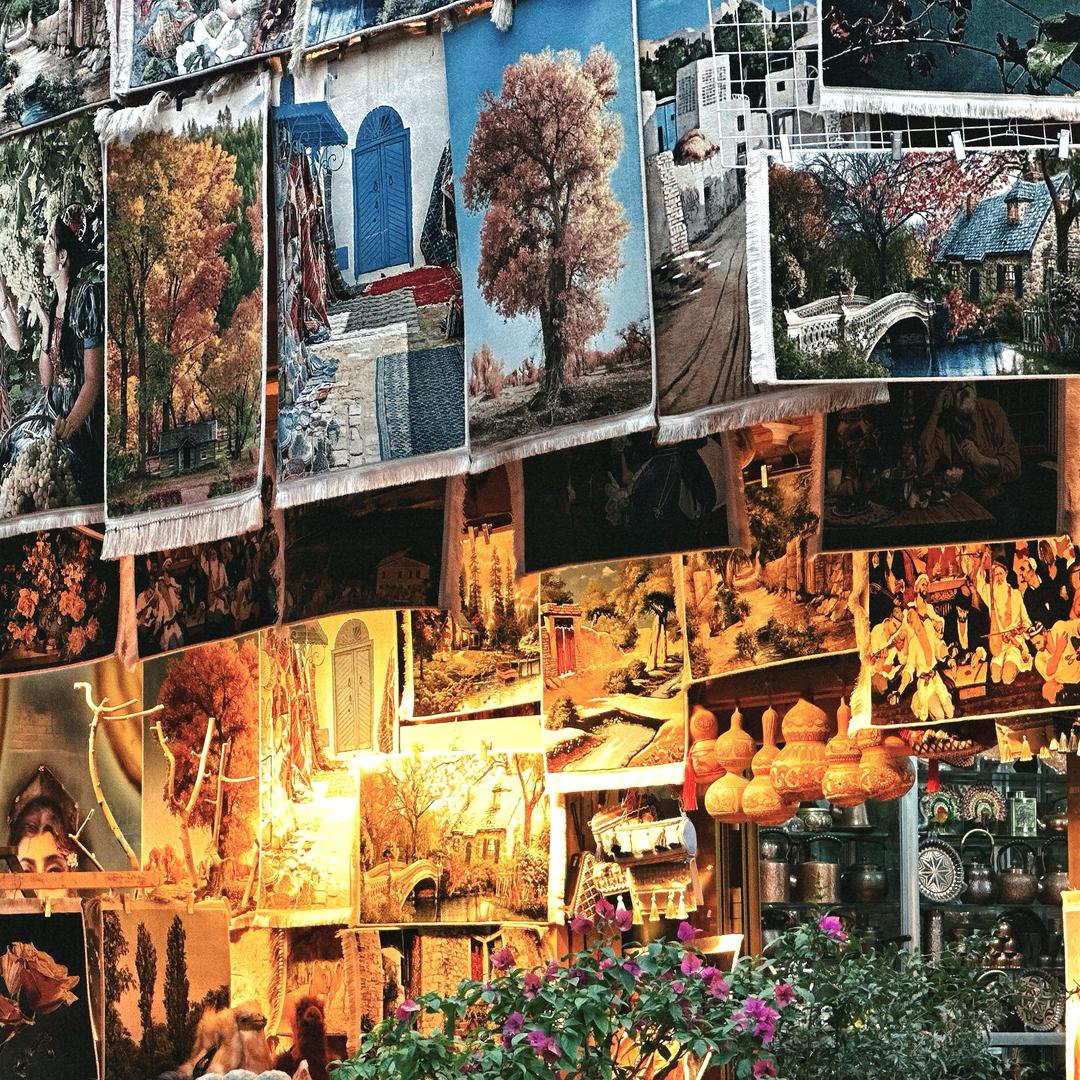 爱吃桃酥的知了猴