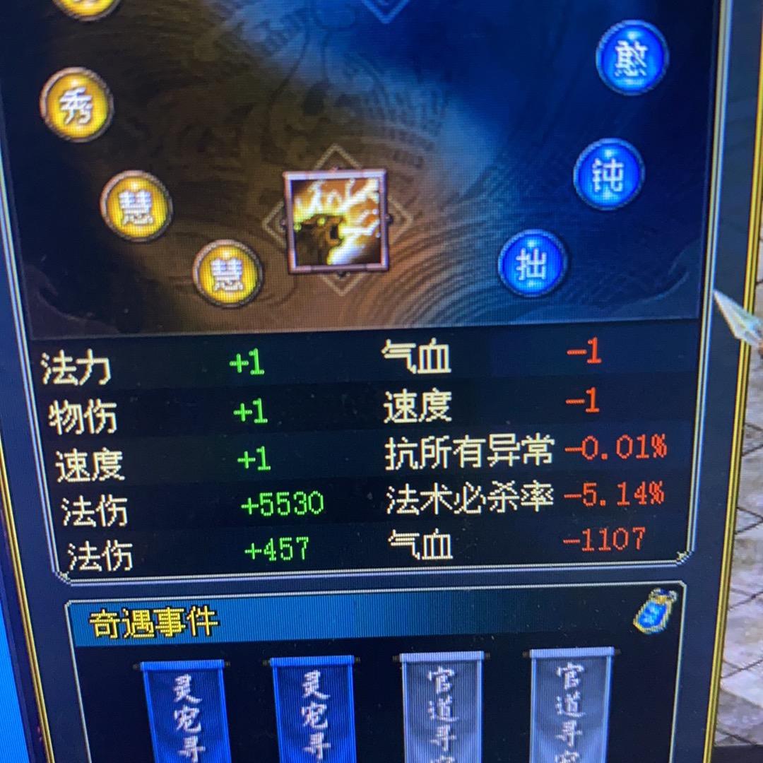 问道 洋洋搬砖