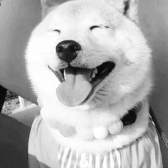 哎呦哎呦头像